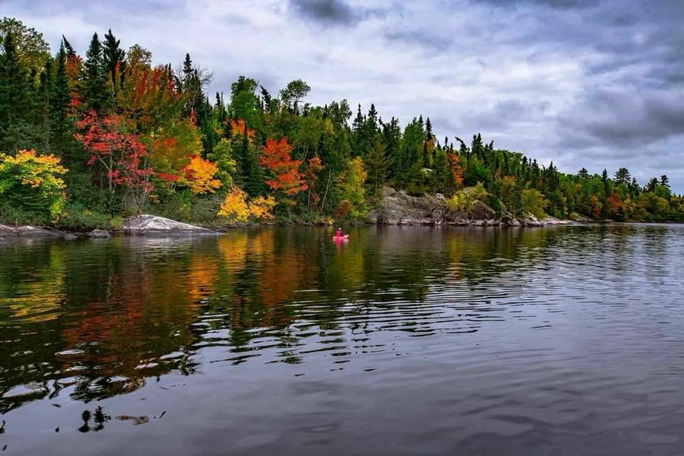 autumn shoreline on rainy lake